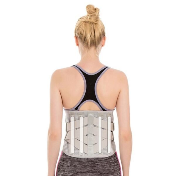 #206 Lumbar Support Belt - Image 2